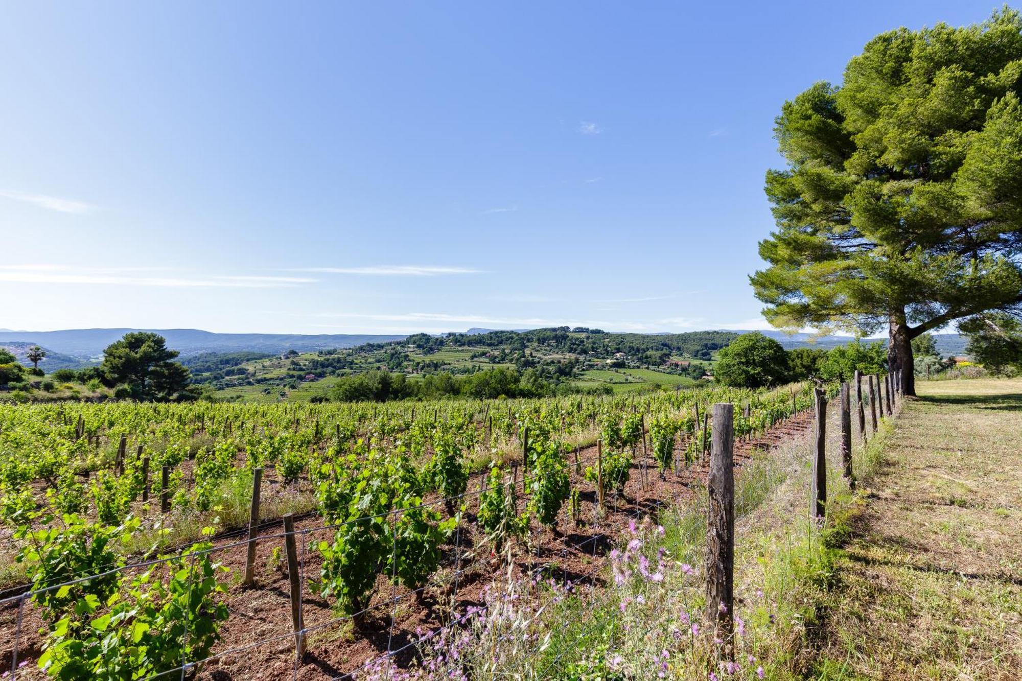 LODGES PARK CASTELLET PROVENCE - Gîtes dans les vignes AOC Bandol à 15 min des plages et du Circuit Paul Ricard F1 Le Beausset Quarto foto